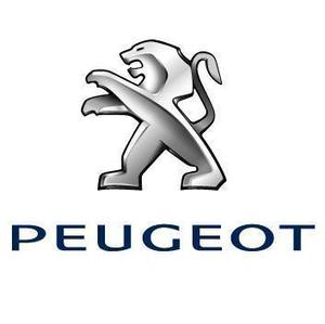 Peugeot Partner Patagónica 1.6 N VTC usado  kms
