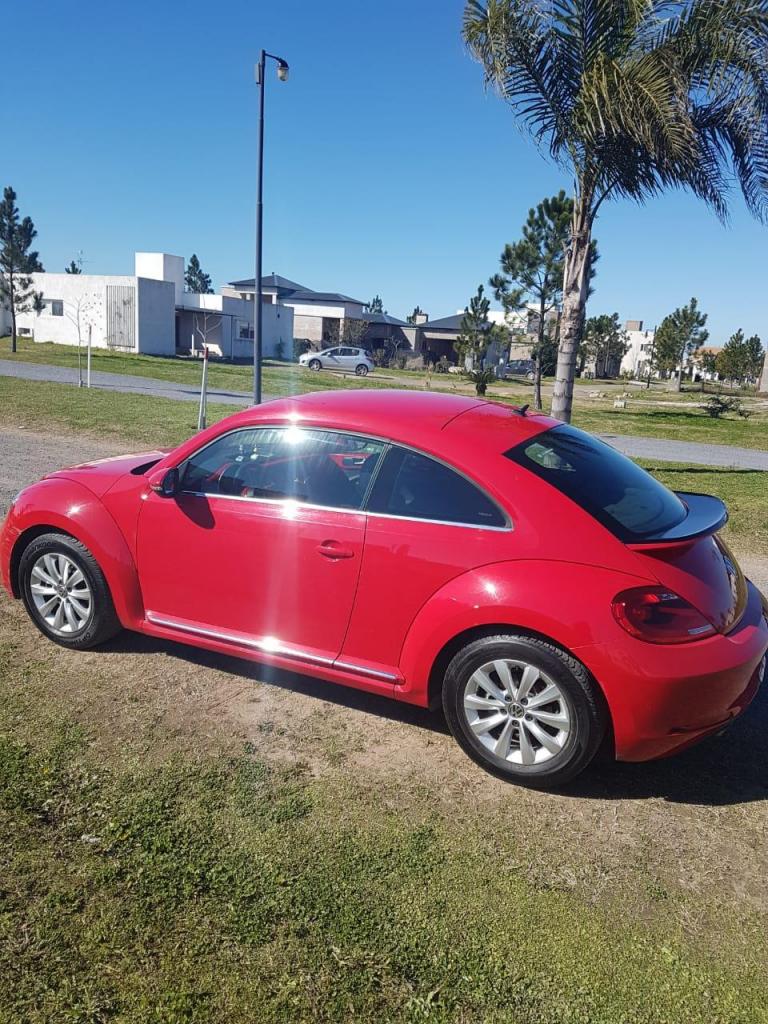 Volkswagen Beetle 