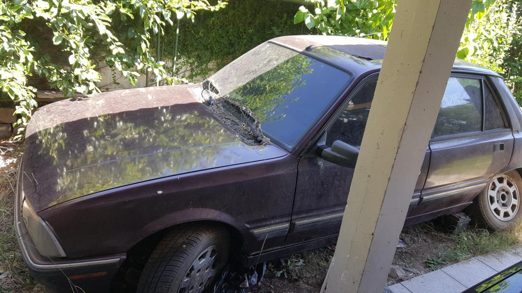 Peugeot 505 para repuestos