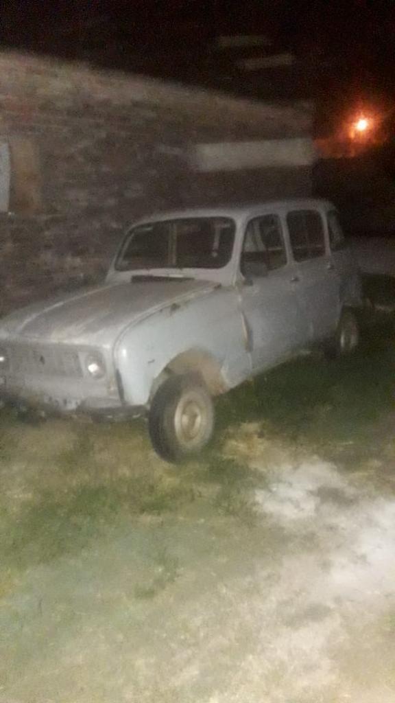 Renault 4s