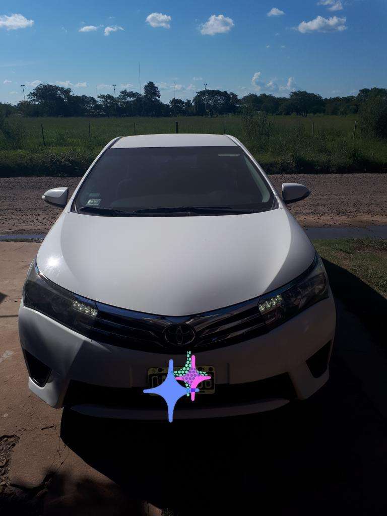 Corolla Inmaculado